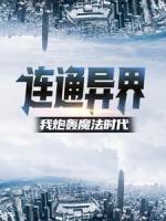 《连通异界：我炮轰魔法时代》(赵无赵海辰)小说阅读by唐吉坷德