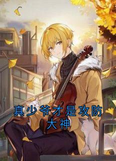 真少爷才是攻防大神