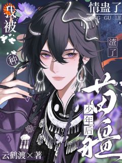 《渣了苗疆少年后，我被种情蛊了》沈决阿布大结局精彩试读