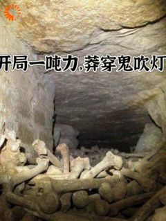 《开局一吨力，莽穿鬼吹灯》苏亦凡老胡精彩内容在线阅读