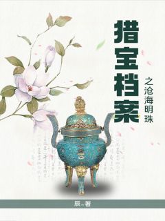 猎宝档案之沧海明珠小说完整版在线阅读（主角孙三思李建军）