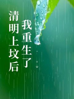 清明上坟后我重生了小说试读_王彩凤曼柔二勇小说全文章节列表
