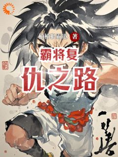 《霸将复仇之路》小说全文在线试读 江渝艾登小说全文