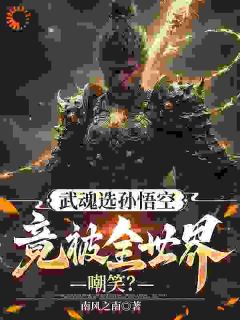 《武魂选孙悟空，竟被全世界嘲笑？》小说章节免费试读 徐清风吴天小说阅读