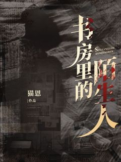 《书房里的陌生人》精彩章节列表在线试读 云露七七高明小说
