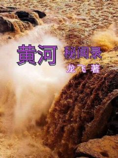 黄河秘闻录完整版全文阅读 陈九哑娘小说 大结局