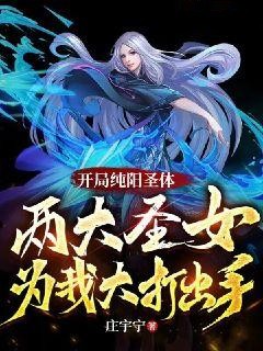 《开局纯阳圣体，两大圣女为我大打出手！》小说章节列表在线试读 叶羽林雪儿小说阅读