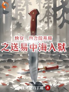 快穿，四合院之开局送海子入狱全文免费阅读 林栋易中海小说大结局无弹窗