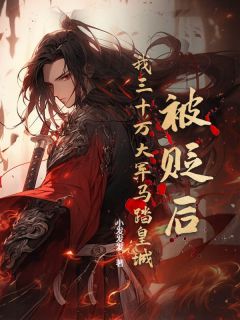 《被贬后，我三十万大军马踏皇城！》小说章节目录免费阅读 陈浮屠陈牧野小说阅读