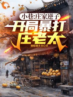 庄辰图南by糖醋趣多多 小巷：庄家逆子，开局暴打庄老太小说阅读