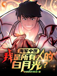 《海军中医，我是所有人的白月光？》小说完结版在线阅读 何天明高丸小说全文
