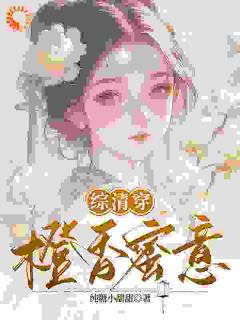 《综清穿：橙香蜜意》小说完结版在线试读 雪瑶康熙小说阅读