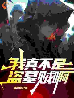 《我真不是盗墓贼啊》小说完结版免费阅读 程风杨雪莉小说全文
