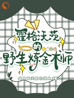 霍格沃茨的野生炼金术师原著小说免费阅读