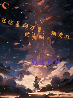 《在这星河万里，独走九世光阴》小说全集免费免费试读（林天云灵）