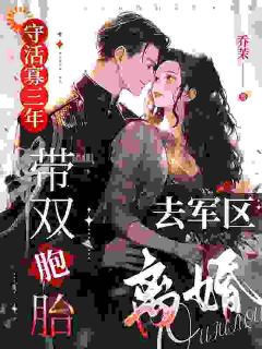 《守活寡三年，带双胞胎去军区离婚》小说章节精彩试读 云织织秦时郁小说全文