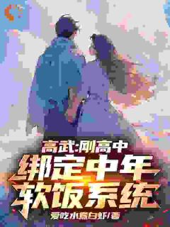 高武：刚高中，绑定中年软饭系统苏辰肖璐小说在线阅读全文章节目录完整版