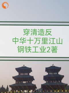 《穿清造反：中华十万里江山》小说全文在线阅读 张文杰赵言平小说全文