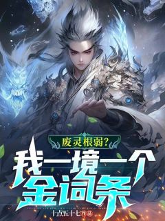 《废灵根弱？我一境一个金词条！》洪安洪泰小说精彩内容免费试读