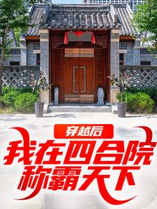 《穿越后，我在四合院称霸天下》小说章节目录精彩试读 何雨柱许大茂小说全文
