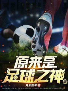 原来是足球之神啊亚瑟史蒂夫全文在线阅读