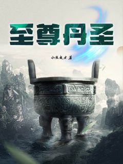 《至尊丹圣》小说完结版在线阅读 陈煊秋长风小说全文