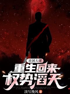 社团大佬重生回来，权势滔天完整版全文阅读 阎晨姜丹丹 大结局