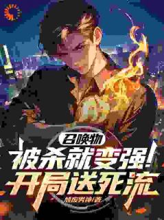 召唤物被杀就变强！开局送死流by颓废男神 林业林宇免费完整版