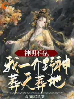 神明不存，我一介野神葬天葬地全文免费阅读 苏千念王莽小说大结局无弹窗