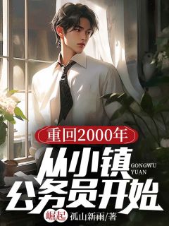 《重回2000年：从小镇公务员开始崛起》小说在线阅读 《重回2000年：从小镇公务员开始崛起》最新章节目录