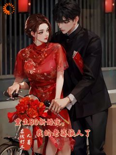 重生80新婚夜，我的老婆换人了李云龙方子婷小说大结局免费试读