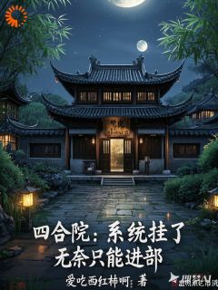 《四合院：系统挂了，无奈只能进部》(阎解成阎阜贵)小说阅读by爱吃西红柿啊
