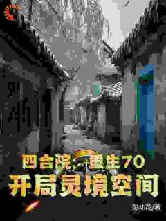 《四合院：重生70，开局灵境空间》小说完整版在线阅读（主角杨风易中海）