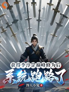 《获得李淳罡巅峰修为后系统跑路了》小说全文精彩试读 苏辰赵婉儿小说全文