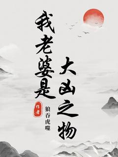 我老婆是大凶之物洪天赐赵半仙 我老婆是大凶之物小说免费阅读
