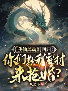 暮凌云烟小说 暮凌云烟我仙尊魂刚回归，你们欺我废柴来抢婚？免费阅读