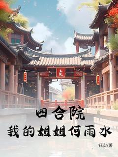 《四合院：我的姐姐何雨水！》小说完结版精彩试读 张海民何雨水小说全文