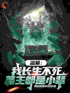 《盗墓：我长生不死，墓主都是小辈》陈玄霍湘云章节精彩试读