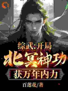 朱文轩穿越到综武世界朱文轩段正淳by百莲花在线阅读