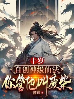 林云林月岚by伽蓝 十岁自创神级仙法，你管他叫废柴？全文免费阅读