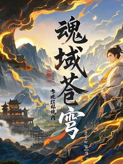 主角是凌风冰璃的小说 《魂域苍穹》 全文免费试读