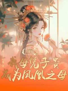 重生后，我母凭子贵成为凤凰之母宿泱云祉by南山不相逢在线阅读