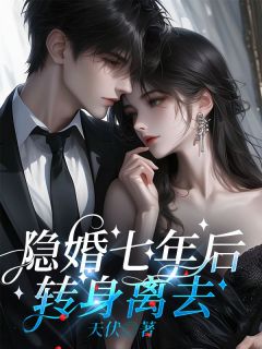赵子慕苏婉灵 隐婚七年后，转身离去完结版在线阅读