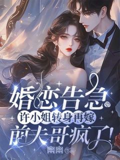 婚恋告急：许小姐转身再嫁，前夫哥疯了！许南夕林淮年免费阅读 婚恋告急：许小姐转身再嫁，前夫哥疯了！幽幽
