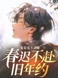 《春迟不赴旧年约》小说全集免费在线阅读（江书程盛婉宁）