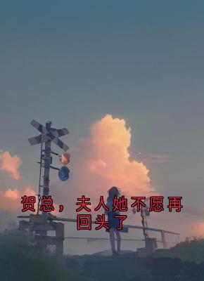 小说贺总，夫人她不愿再回头了岑烟贺南屿章节免费在线阅读地址