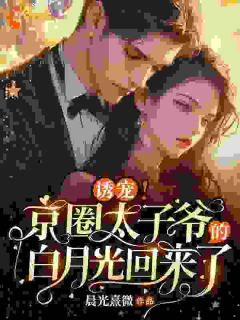 《诱宠！京圈太子爷的白月光回来了》纪繁星厉景琛小说精彩章节免费试读