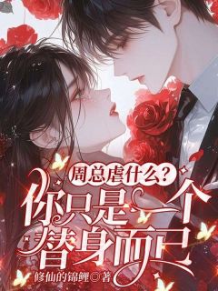 《周总虐什么？你只是一个替身而已》小说免费阅读 宋晚音周时琛小说大结局免费试读