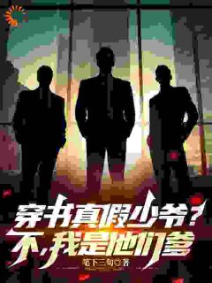穿书真假少爷？不，我是他们的爹免费试读 叶傲天叶战小说章节目录