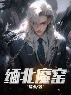 《缅北魔窑》小说全文在线阅读 《缅北魔窑》最新章节列表